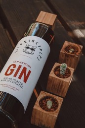 1st Principles GIN with wooden planters for cactus plants